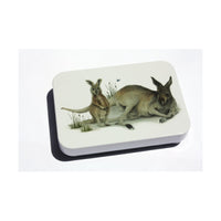 Tinco Iconic Australian Animal Pocket Tins